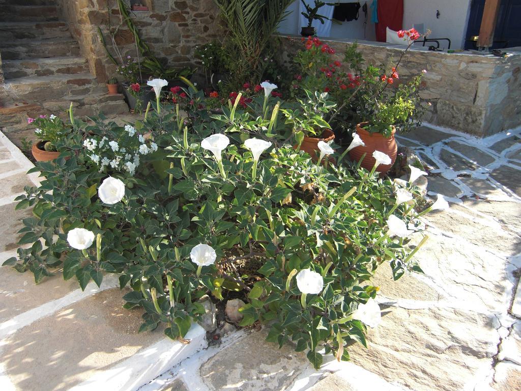 Eva Villa Mylopotas Bagian luar foto